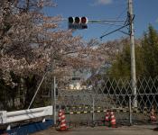 Фукусима последствия аварии для японии и всего мира